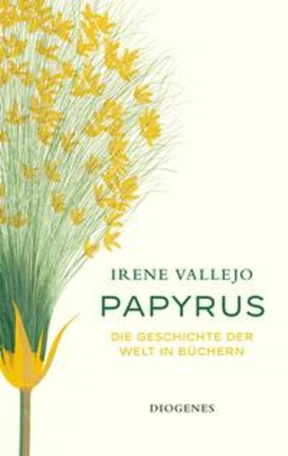 Buchcover Papyrus Irene Vallejo