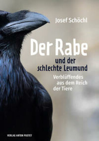 Buchcover Der Rabe und der schlechte Leumund Josef Schöchl