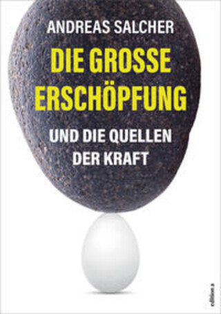 Buchcover Die große Erschöpfung Andreas Salcher