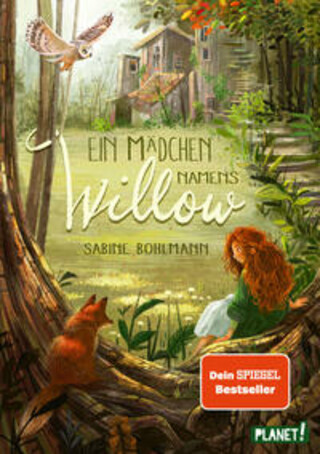 Buchcover Ein Mädchen namens Willow 1: Ein Mädchen namens Willow Sabine Bohlmann
