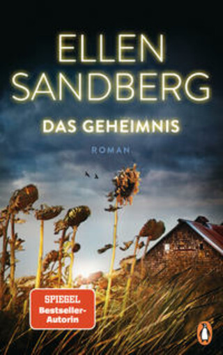Buchcover Das Geheimnis Ellen Sandberg