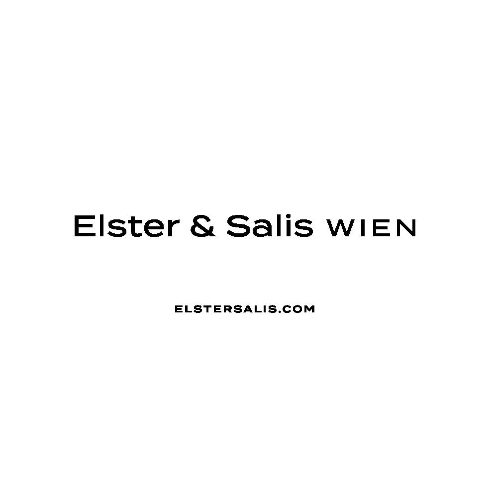 ElsterSalis Wien Logo POSITIV (002)