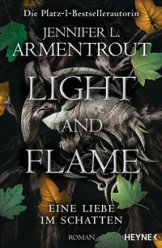 Buchcover Light and Flame - Eine Liebe im Schatten Jennifer L. Armentrout