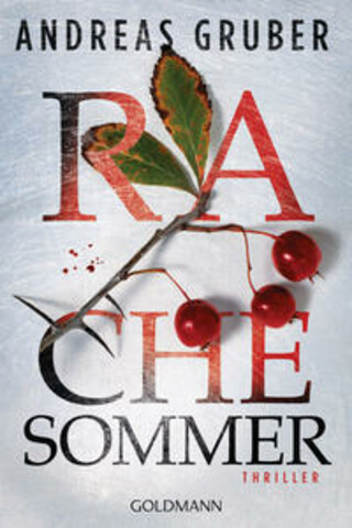Buchcover Rachesommer Andreas Gruber