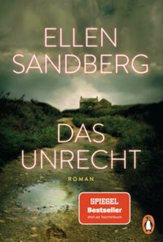 Buchcover Das Unrecht Ellen Sandberg
