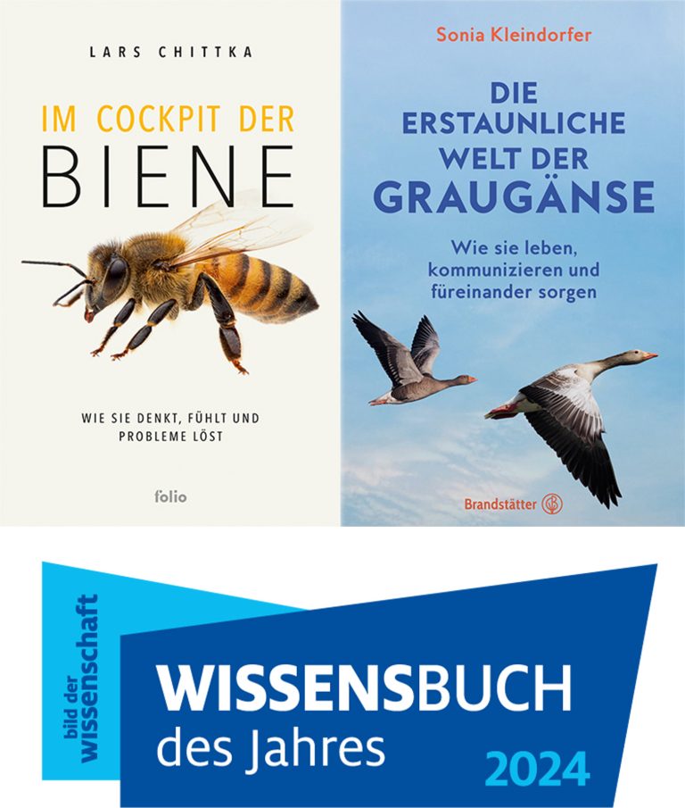 wissensbuch 2024 kombi
