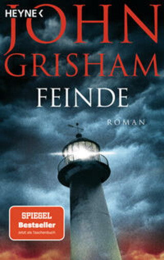 Buchcover Feinde John Grisham